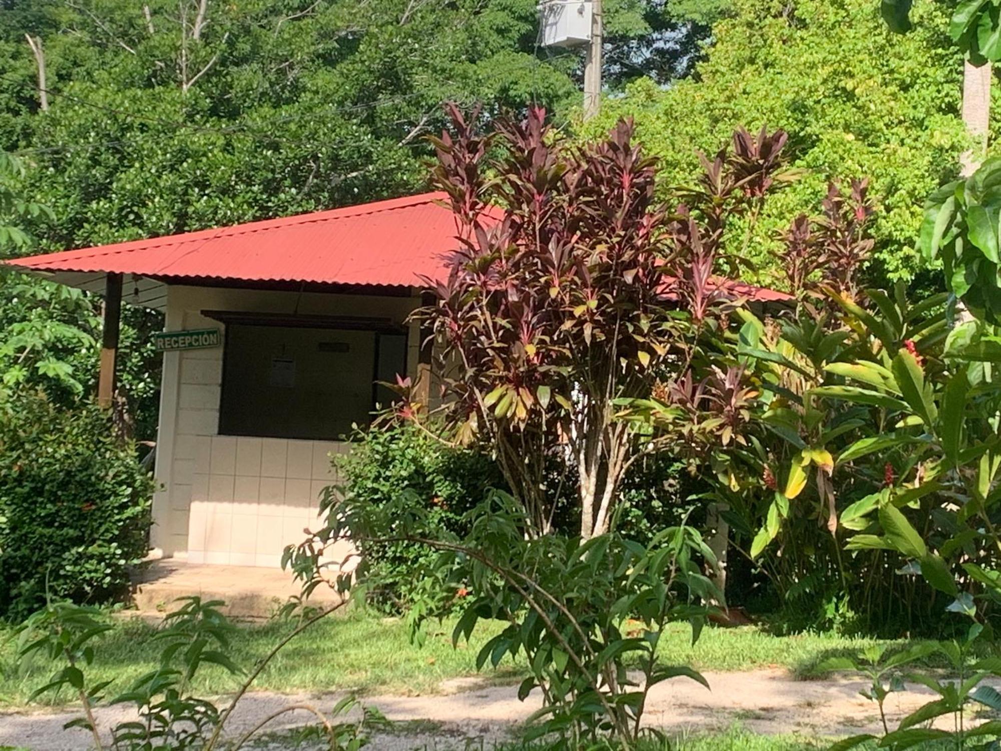 Hotel Quiloma Ranch بالينكو المظهر الخارجي الصورة