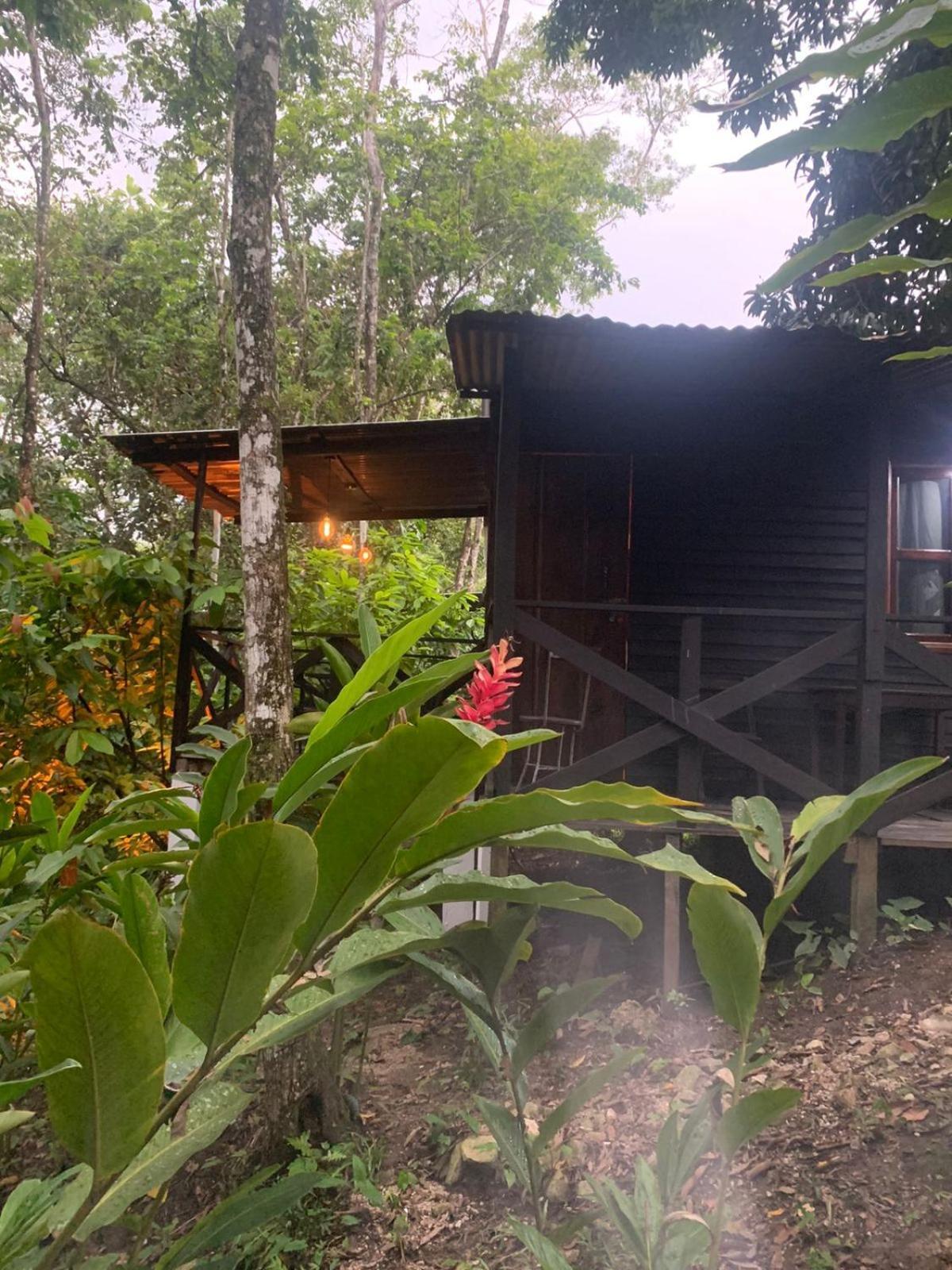 Hotel Quiloma Ranch بالينكو المظهر الخارجي الصورة
