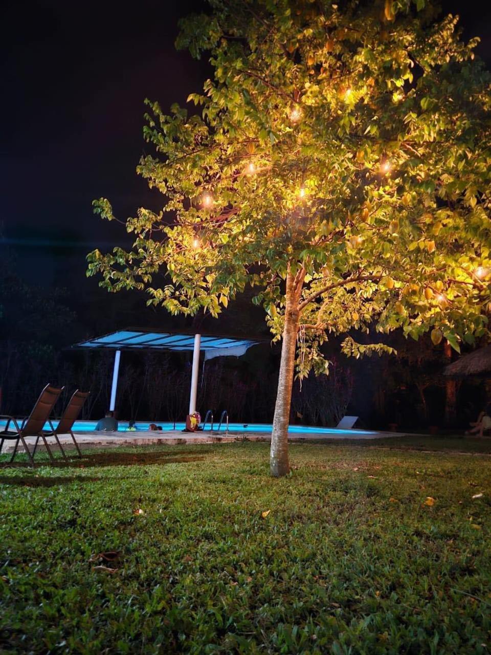 Hotel Quiloma Ranch بالينكو المظهر الخارجي الصورة